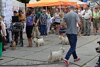 Bild: 20 Jahre Altstadtfest