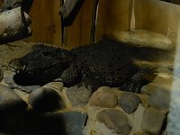 Bild: Besuch im Zoo von Aschersleben