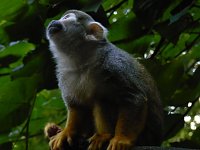Bild: Besuch im Zoo von Aschersleben
