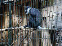 Bild: Besuch im Zoo von Aschersleben