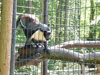Bild: Besuch im Zoo von Aschersleben