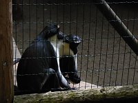 Bild: Besuch im Zoo von Aschersleben