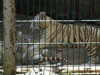 Bild: Besuch im Zoo von Aschersleben