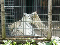 Bild: Besuch im Zoo von Aschersleben