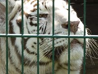 Bild: Besuch im Zoo von Aschersleben