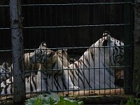 Bild: Besuch im Zoo von Aschersleben