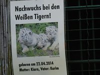 Bild: Besuch im Zoo von Aschersleben