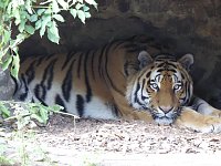 Bild: Besuch im Zoo von Aschersleben