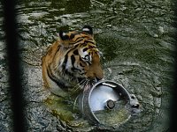 Bild: Besuch im Zoo von Aschersleben
