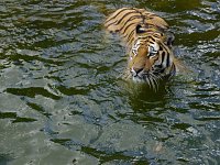 Bild: Besuch im Zoo von Aschersleben