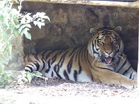 Bild: Besuch im Zoo von Aschersleben