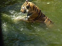 Bild: Besuch im Zoo von Aschersleben