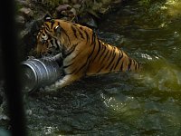 Bild: Besuch im Zoo von Aschersleben