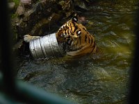 Bild: Besuch im Zoo von Aschersleben