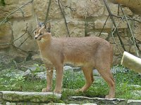 Bild: Besuch im Zoo von Aschersleben