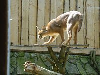 Bild: Besuch im Zoo von Aschersleben