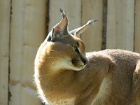 Bild: Besuch im Zoo von Aschersleben