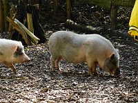 Bild: Besuch im Zoo von Aschersleben