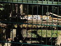 Bild: Besuch im Zoo von Aschersleben