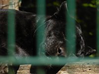 Bild: Besuch im Zoo von Aschersleben