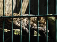 Bild: Besuch im Zoo von Aschersleben