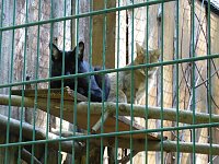 Bild: Besuch im Zoo von Aschersleben