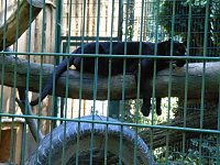 Bild: Besuch im Zoo von Aschersleben