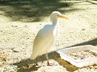 Bild: Besuch im Zoo von Aschersleben