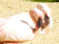 Bild: Besuch im Zoo von Aschersleben