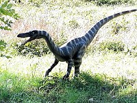 Bild: Dinosaurier auf R&uuml;gen