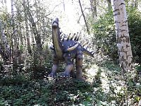 Bild: Dinosaurier auf R&uuml;gen