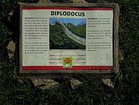 Bild: Dinosaurier auf R&uuml;gen