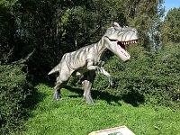 Bild: Dinosaurier auf R&uuml;gen