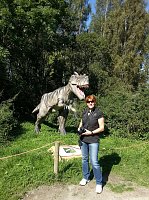 Bild: Dinosaurier auf R&uuml;gen