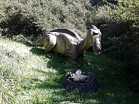 Bild: Dinosaurier auf R&uuml;gen
