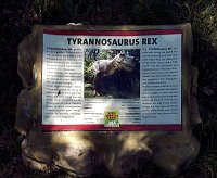 Bild: Dinosaurier auf R&uuml;gen