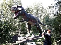 Bild: Dinosaurier auf R&uuml;gen