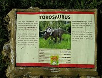 Bild: Dinosaurier auf R&uuml;gen