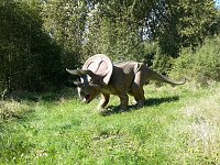 Bild: Dinosaurier auf R&uuml;gen