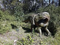 Bild: Dinosaurier auf R&uuml;gen