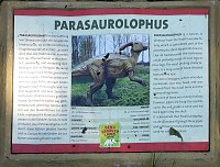 Bild: Dinosaurier auf R&uuml;gen