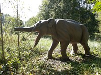 Bild: Dinosaurier auf R&uuml;gen