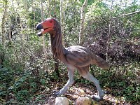 Bild: Dinosaurier auf R&uuml;gen