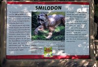 Bild: Dinosaurier auf R&uuml;gen