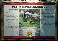 Bild: Dinosaurier auf R&uuml;gen