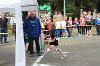 Bild: Herbst-Crosslauf im Gehege