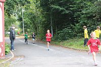 Bild: Herbst-Crosslauf im Gehege