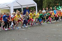 Bild: Herbst-Crosslauf im Gehege