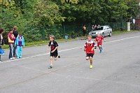 Bild: Herbst-Crosslauf im Gehege