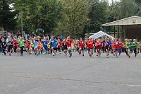 Bild: Herbst-Crosslauf im Gehege
